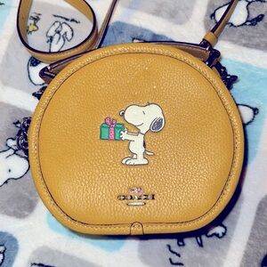 Coach x peanuts canteen crossbody bag